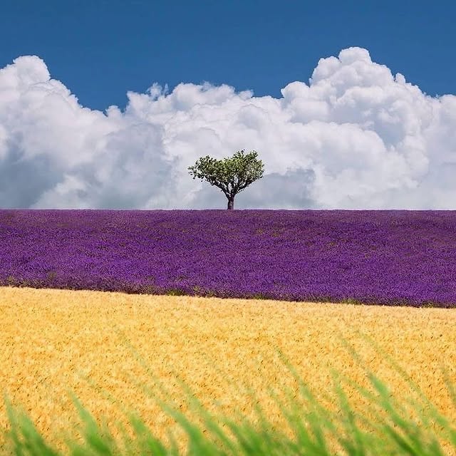  ......erfever   'recent posts' 