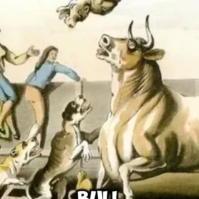  ........ykingdom   'recent posts' 