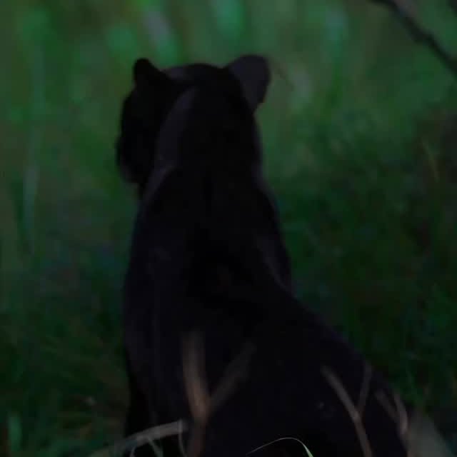  ......fehood   'recent posts' 