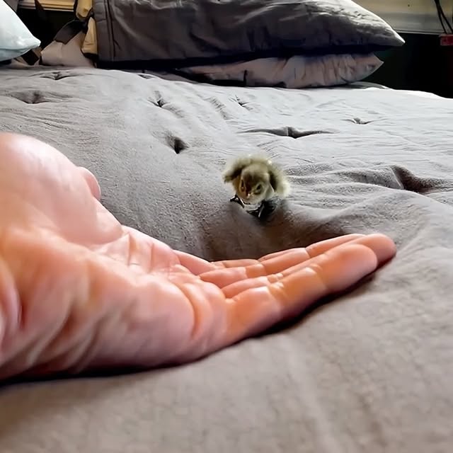  ........malsgram   'recent posts' 