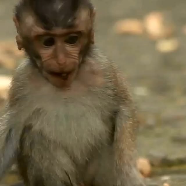  ........of_world   'recent posts' 