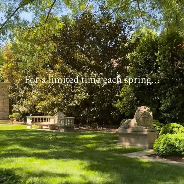  .......newport   'recent posts' 