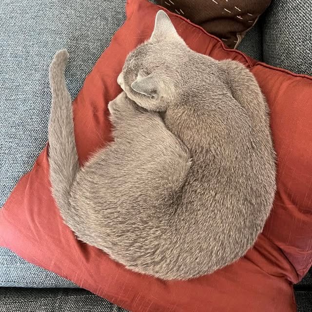  ......n_boris   'recent posts' 