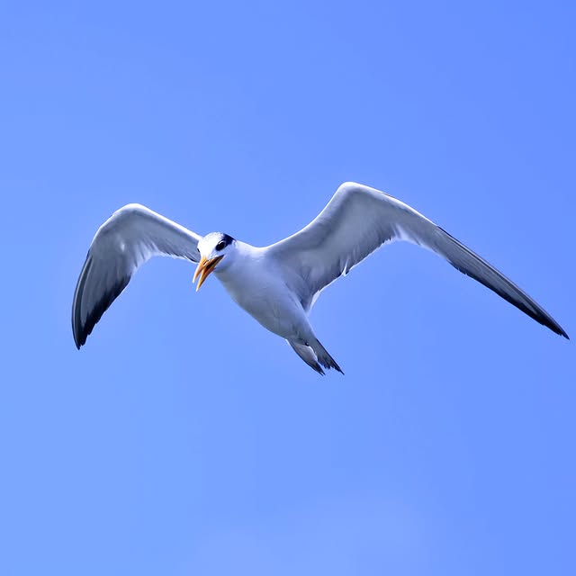  .....yland   'recent posts' 