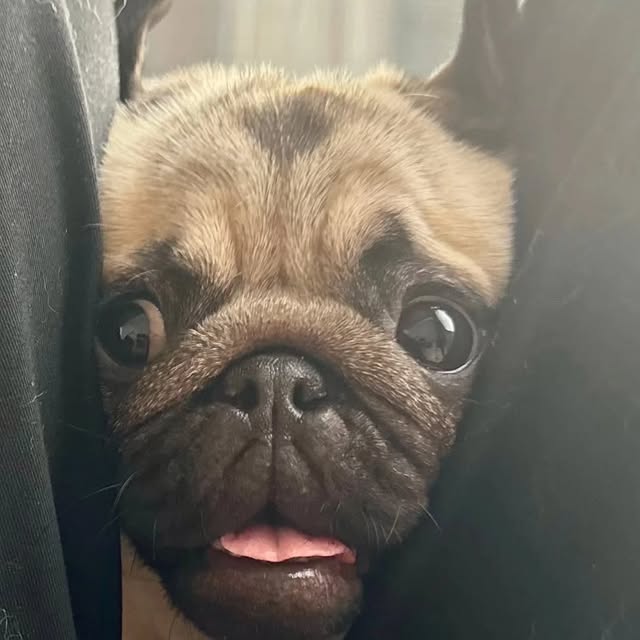  .....wners   'recent posts' 