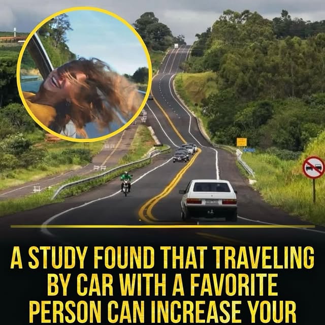  ....vita   'recent posts' 