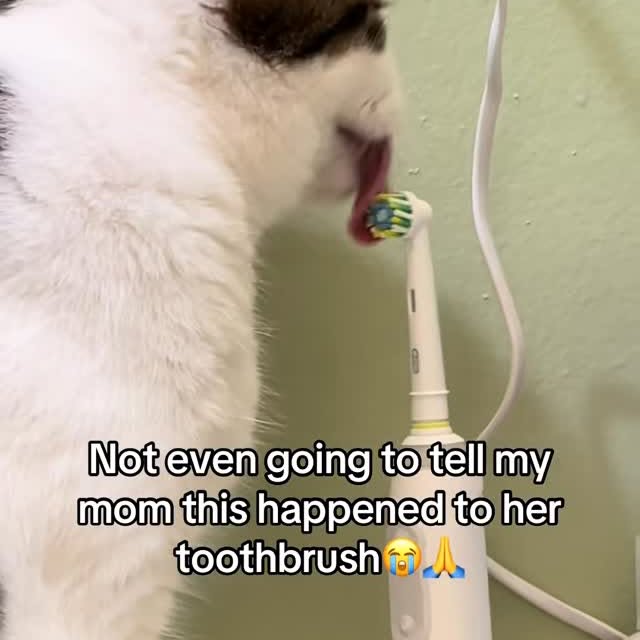  ...........irtonguesout   'recent posts' 