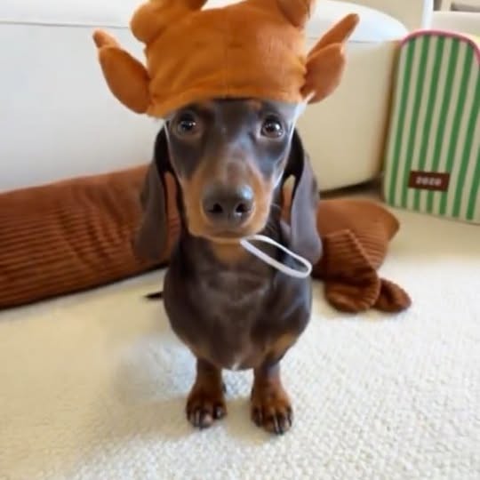  ..........fan.club_   'recent posts' 