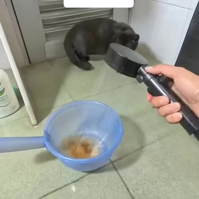  .....attos   'recent posts' 