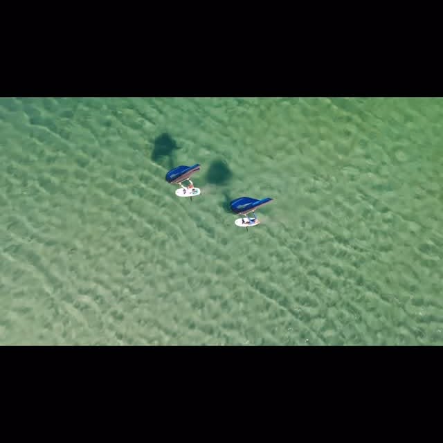  .....ondina   'recent posts' 