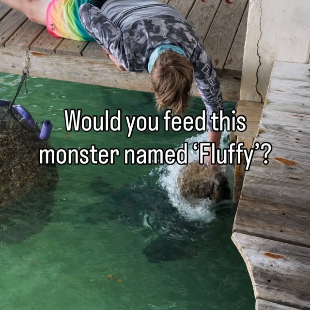  .....lorida   'recent posts' 