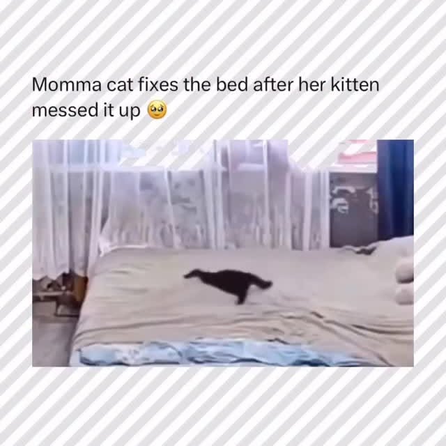  ......ctcars   'recent posts' 