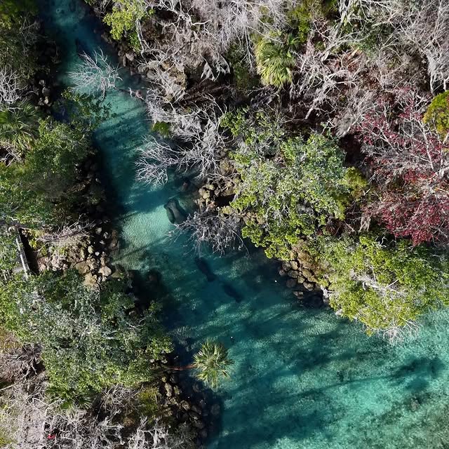  .....lorida   'recent posts' 