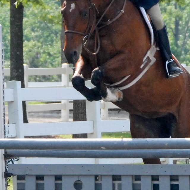  .......beadles   'recent posts' 