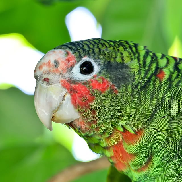  .....yland   'recent posts' 