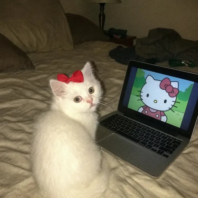  .....kuties   'recent posts' 