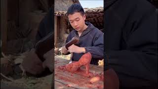  ....FACT  'recent videos' 