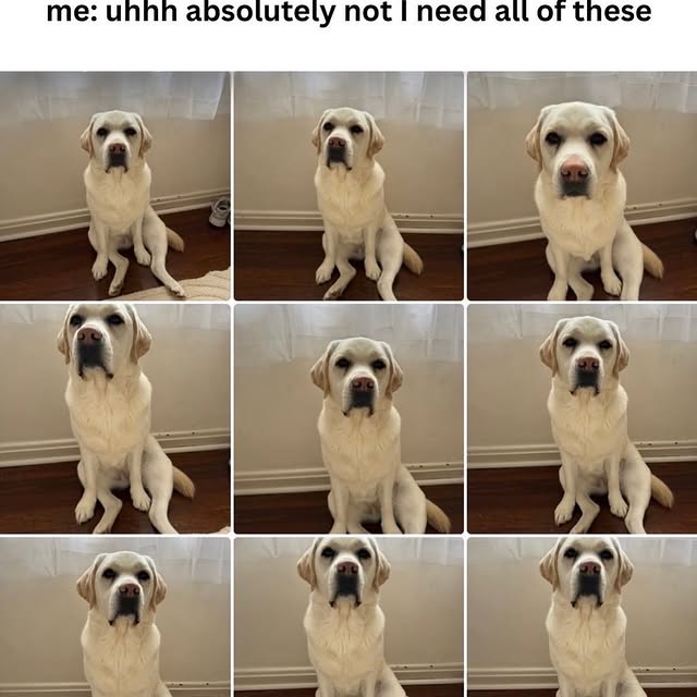  ..ps   'recent posts' 