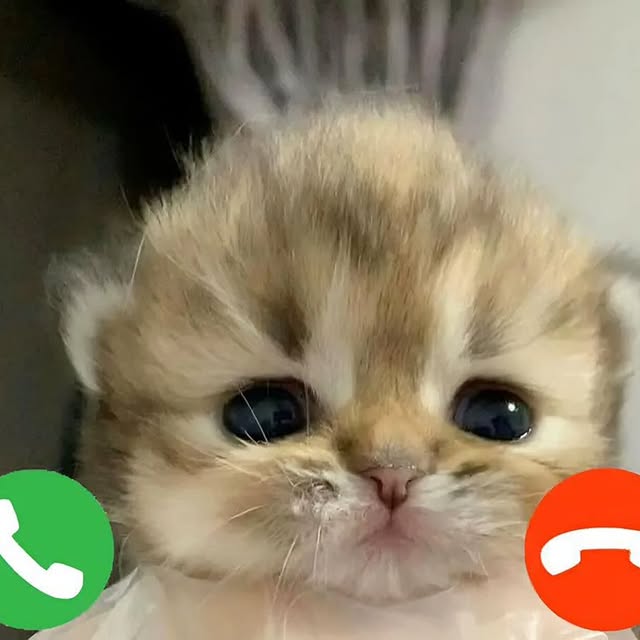  ......nd.kits   'recent posts' 