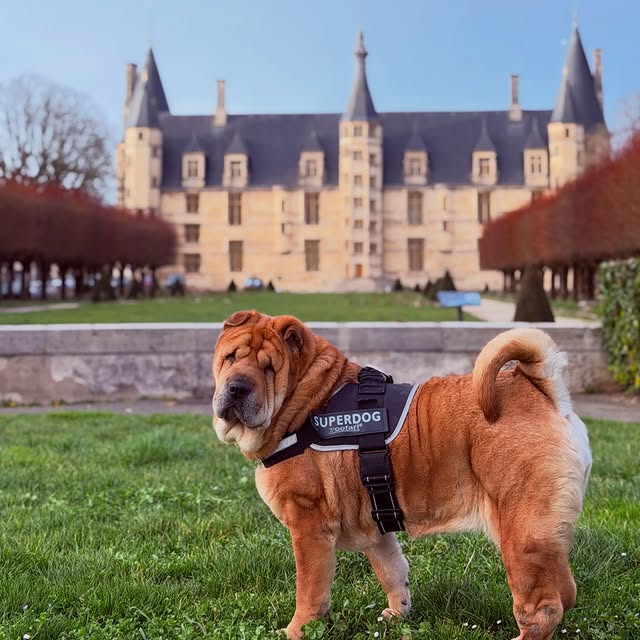  ......i.world   'recent posts' 