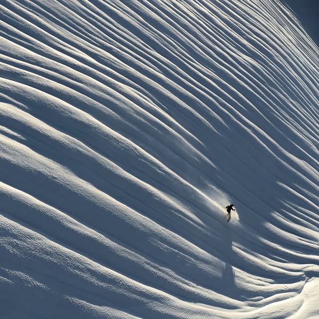  .......refervor   'recent posts' 