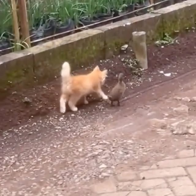  .....fweek   'recent posts' 