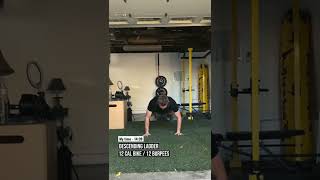  ....... Schmidt  'recent videos' 