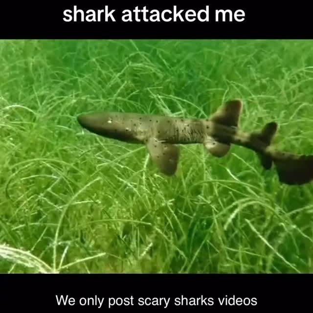  .........arkattacks   'recent posts' 