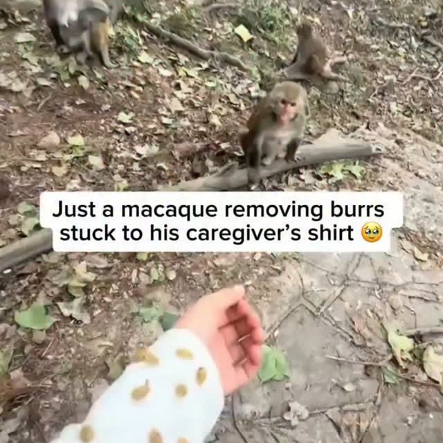  .......s.global   'recent posts' 