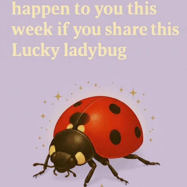  .....twano   'recent posts' 