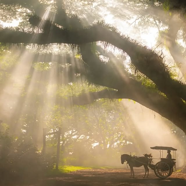  ..........discoverer   'recent posts' 