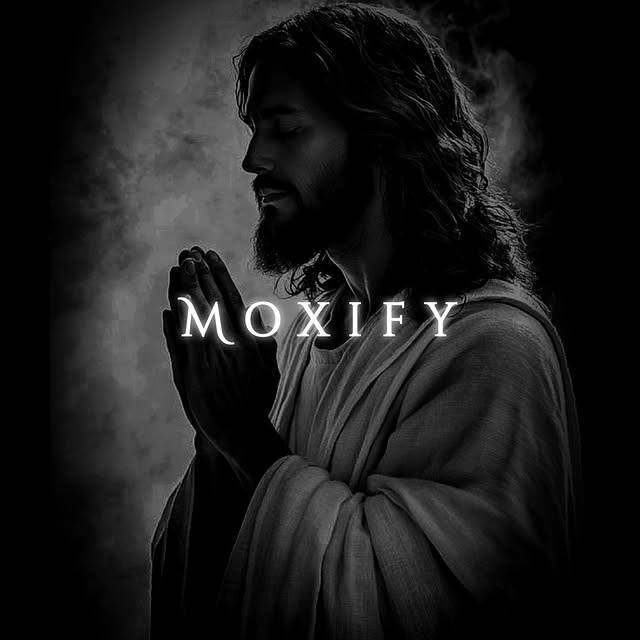  ....fy.ai   'recent posts' 