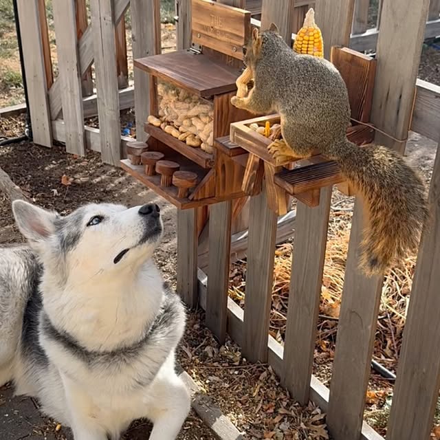  .....eteers   'recent posts' 