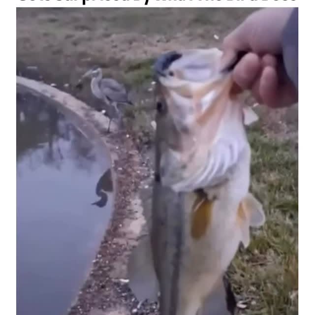  ........rldsnews   'recent posts' 