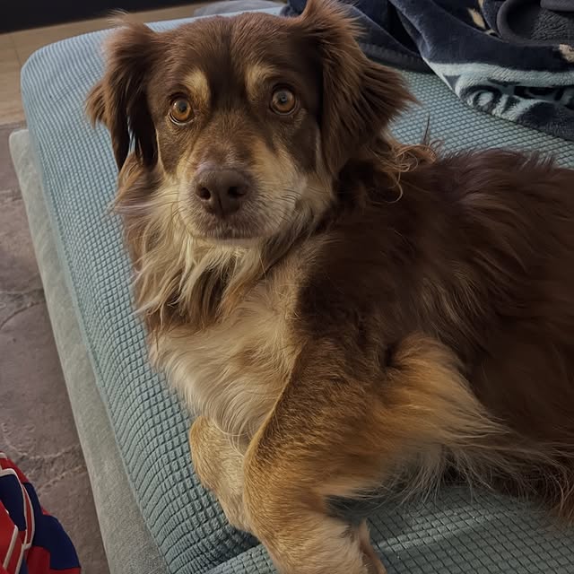  .....og2020   'recent posts' 