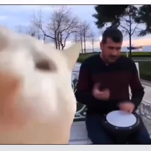  ....eowsy   'recent posts' 