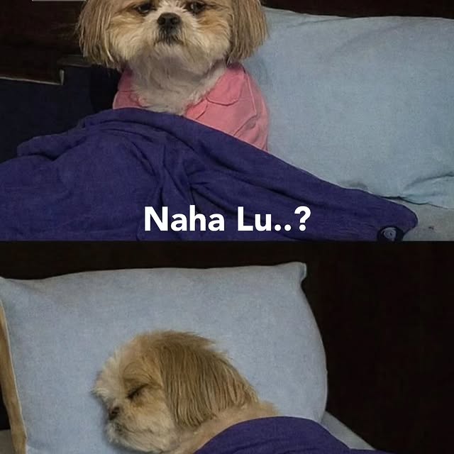  .......dstories   'recent posts' 