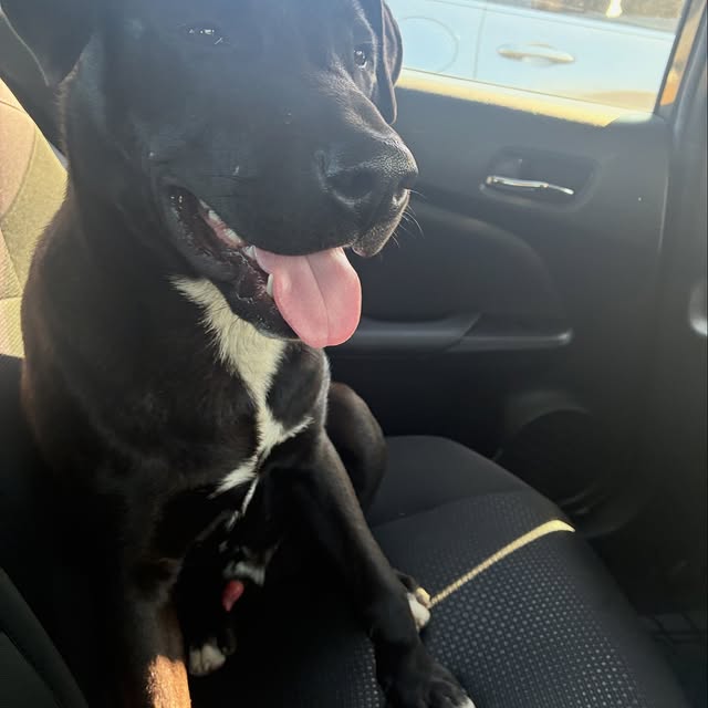  .....tmiles   'recent posts' 