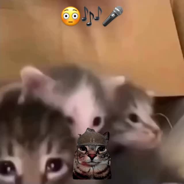  ....eowsy   'recent posts' 