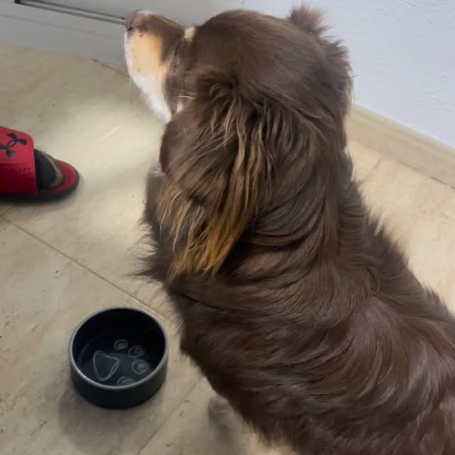  .....og2020   'recent posts' 