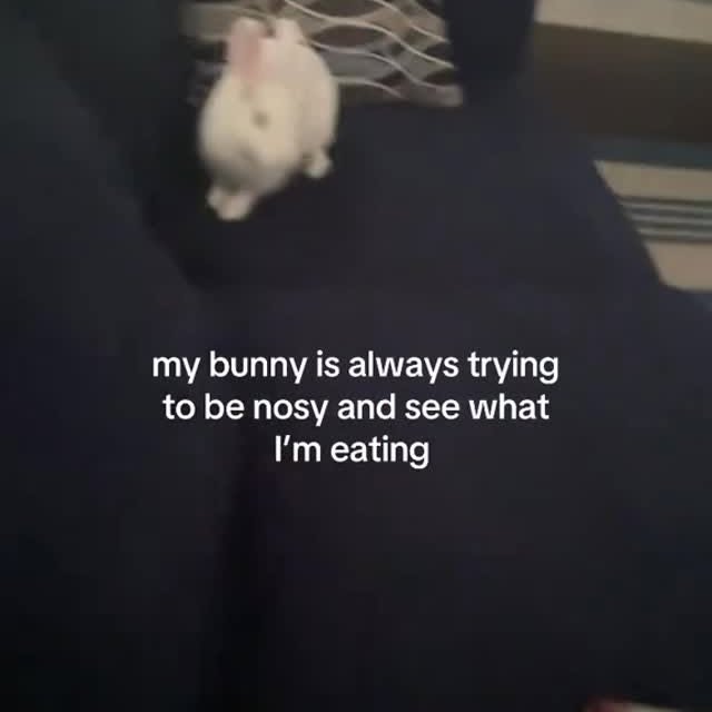  .......inheart   'recent posts' 