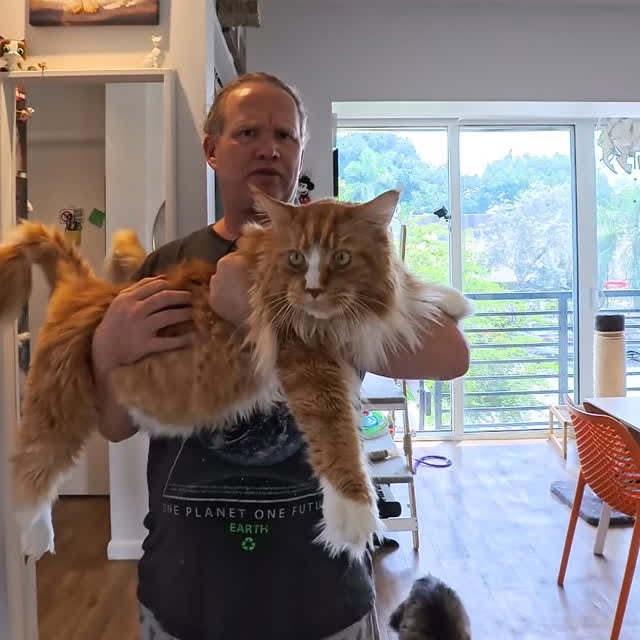  ......adamus   'recent posts' 