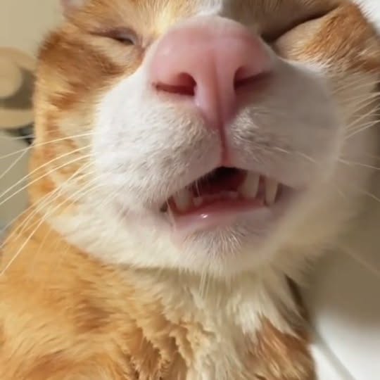  ...........irmouthopen   'recent posts' 