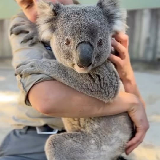  .......refervor   'recent posts' 