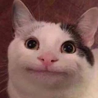 Hire .....li9ht influencer with 70.1k