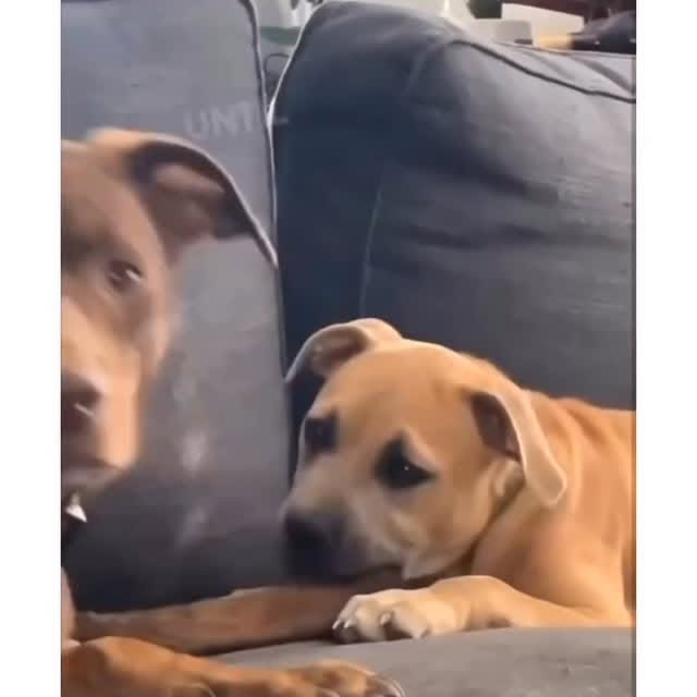  ......estige   'recent posts' 