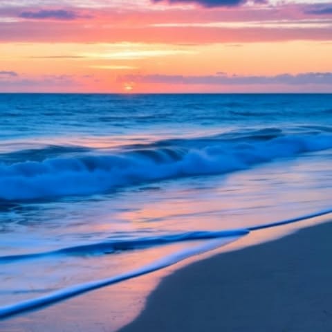  ......dreame   'recent posts' 