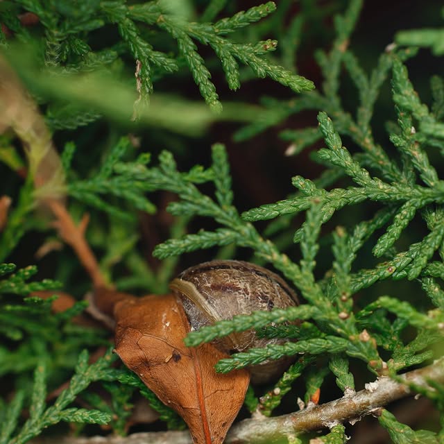  .....mourad   'recent posts' 