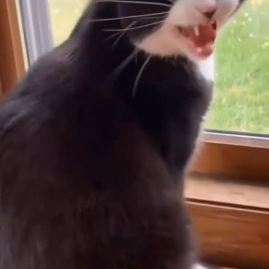  ...........irmouthopen   'recent posts' 