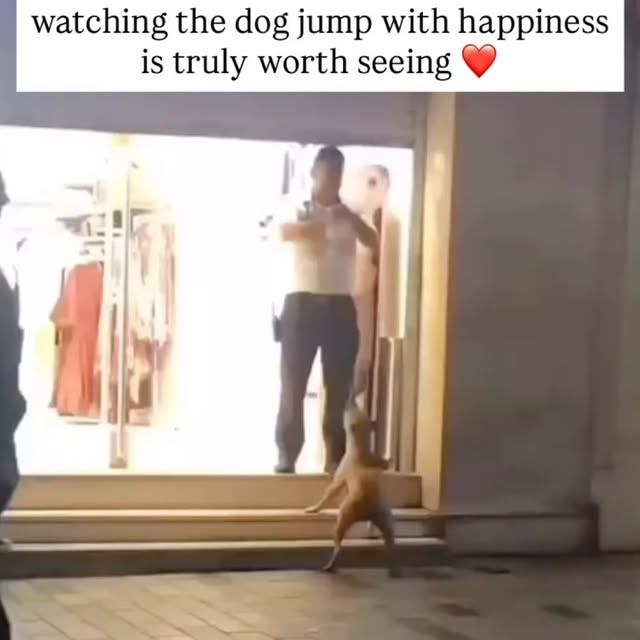  ....s.acc   'recent posts' 